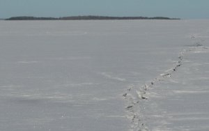 Pragu K&otilde;verlaiu ja Muhu vahel 6. veebruaril 2011